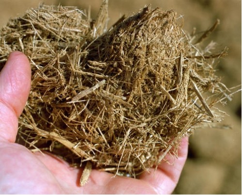 El Carbn Produce Mayor Calentamiento Global que la Biomasa