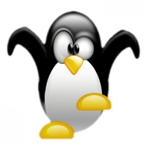 Fundacin Linux opina que ya derrot a Microsoft