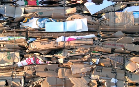 Acciones para Cuidar el Planeta, Recicla Papel